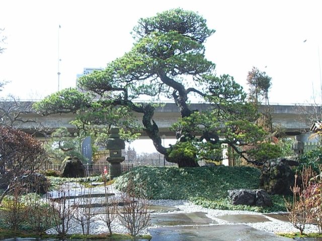 水琴窟を設置した純和風庭園