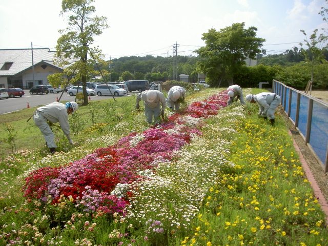 人力による除草作業