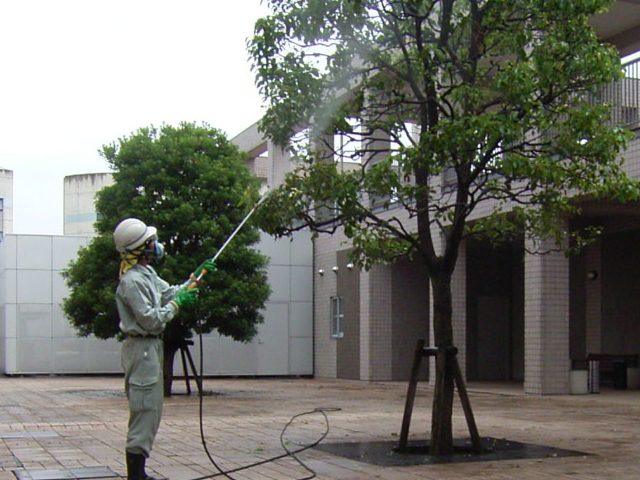 消毒の散布作業